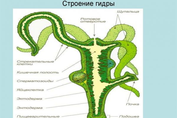 Кракен маркет что это